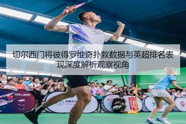 切尔西门将彼得罗维奇扑救数据与英超排名表现深度解析观察视角